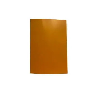 CARPETA PINTADA - NARANJO
