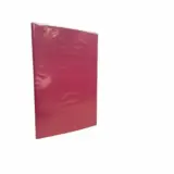 CARPETA CON ACCOCLIP - FUCSIA