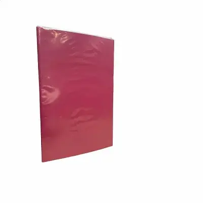 CARPETA CON ACCOCLIP - FUCSIA