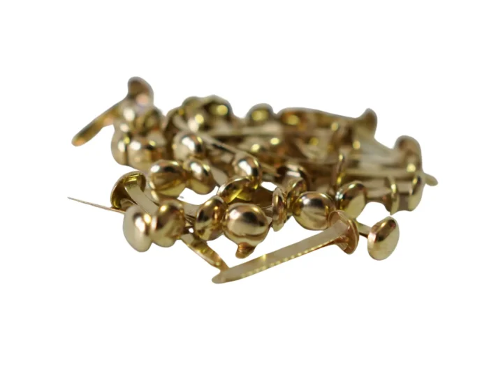 BROCHE DOS PATAS 25MM