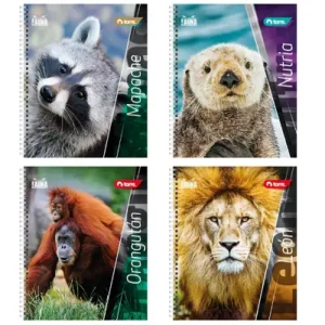 Cuadernos