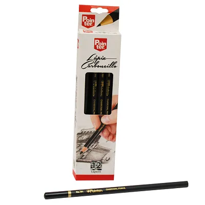 LAPIZ CARBONCILLO POINTER