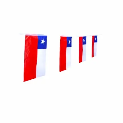 BANDERA CHILE RECTANGULAR
